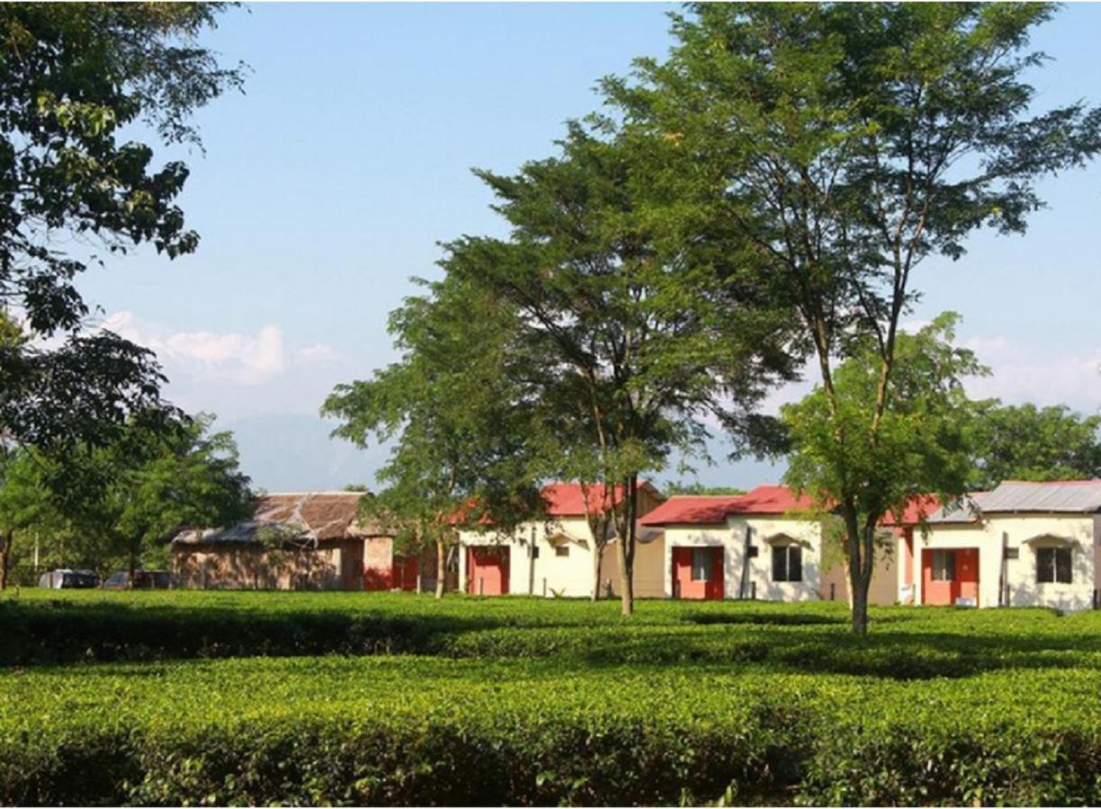 The Mystic Forest - A Tea Garden Resort At Dooars Madari Hat Eksteriør bilde