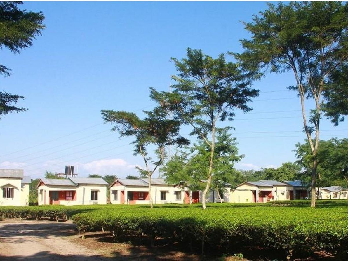 The Mystic Forest - A Tea Garden Resort At Dooars Madari Hat Eksteriør bilde