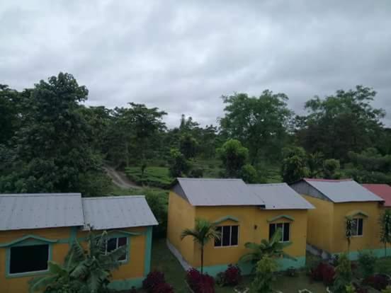 The Mystic Forest - A Tea Garden Resort At Dooars Madari Hat Eksteriør bilde